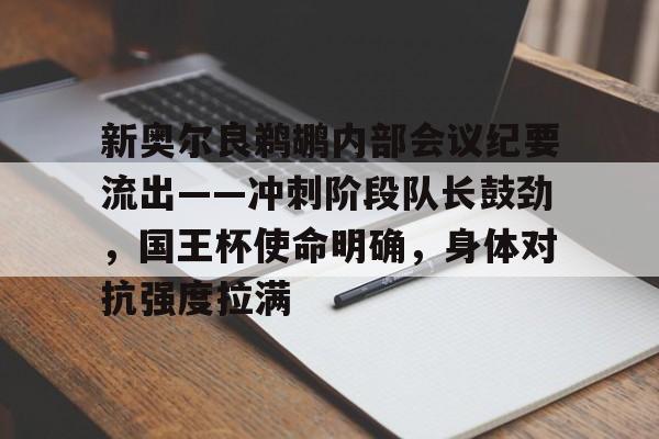 英雄联盟-新奥尔良鹈鹕内部会议纪要流出——冲刺阶段队长鼓劲，国王杯使命明确，身体对抗强度拉满的简单介绍